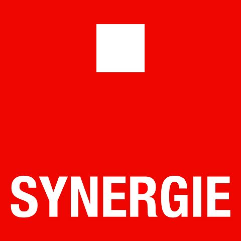 logo_synergie